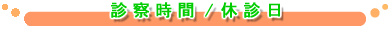 診療時間/休診日